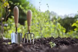 Tuinmannen/hovenier, Diensten en Vakmensen, Tuinmannen en Stratenmakers, Bestrating, Hekwerk of Schuttingen, Tuin- of Vijveraanleg