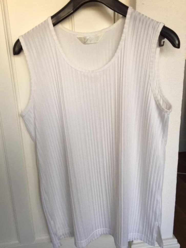 ***Studio Borgelt*** top maat L NIEUW!, Kleding | Dames, Tops, Nieuw, Maat 42/44 (L), Wit, Zonder mouw, Ophalen of Verzenden