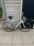 Red Bull pro SL, Gebruikt, Heren, Aluminium, 57 tot 61 cm