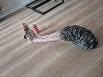 Struisvogelhoofd Muurdecoratie beschikbaar voor biedingen