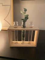 Houten vaas planthouder glas met plantje, Huis en Inrichting, Woonaccessoires | Vazen, Overige kleuren, Ophalen of Verzenden, Minder dan 50 cm