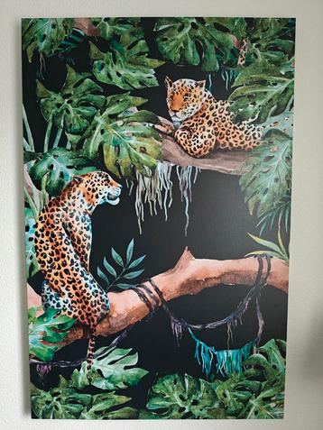 Canvas doek Jungle Luipaard