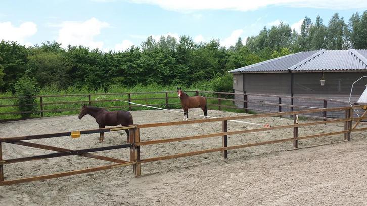 Stalling beschikbaar naast A’damse Bos, Amstelveen/Aalsmeer, Dieren en Toebehoren, Stalling en Weidegang, Stalling