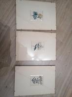 Set van 3 ingelijste botanische prenten, Antiek en Kunst, Kunst | Etsen en Gravures, Ophalen of Verzenden
