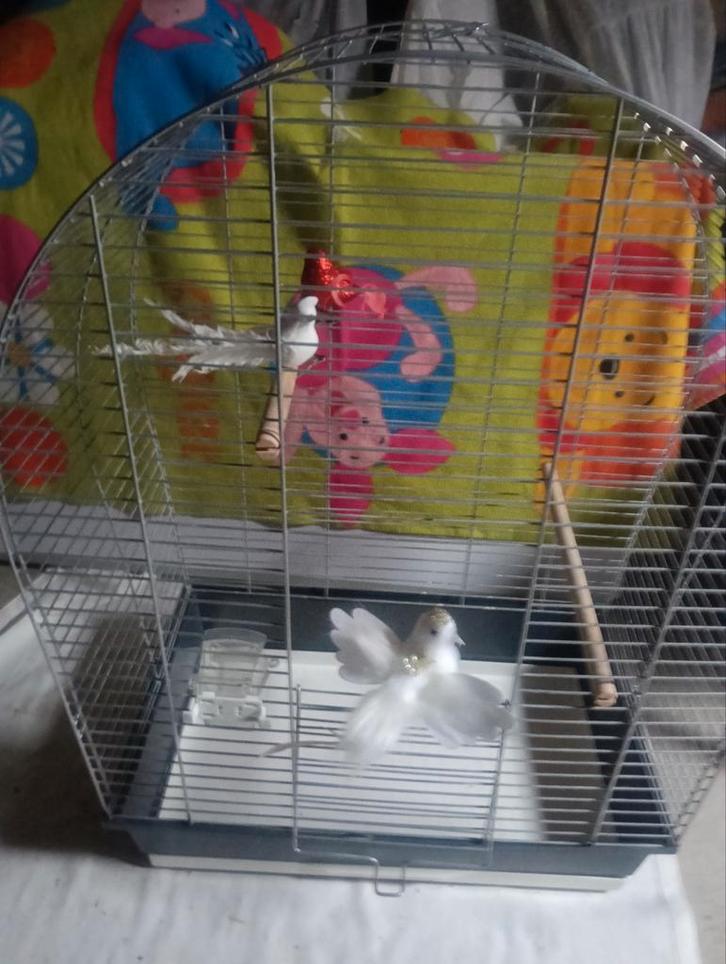 Kanarie grote en kleine parkieten vogelkooi, Dieren en Toebehoren, Vogels | Hokken en Kooien, Zo goed als nieuw, Vogelkooi, Metaal