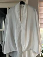 Leuke Pescara blouse, Overige kleuren, Maat 42/44 (L), Pescara, Ophalen of Verzenden