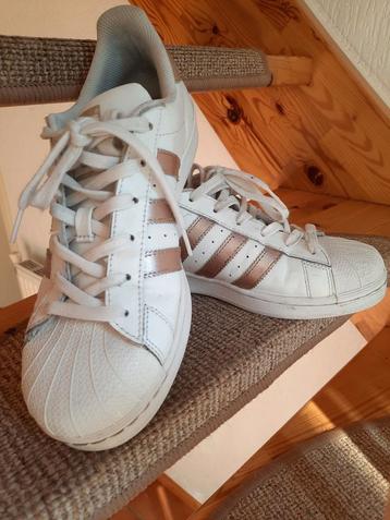Adidas superstar 40 beschikbaar voor biedingen
