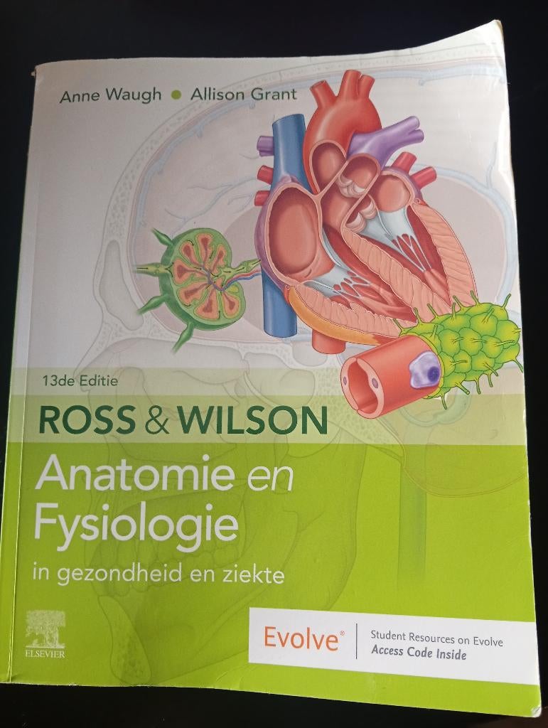 Anatomie en fysiologie, Boeken, Studieboeken en Cursussen, Diverse auteurs, Zo goed als nieuw, Beta, HBO