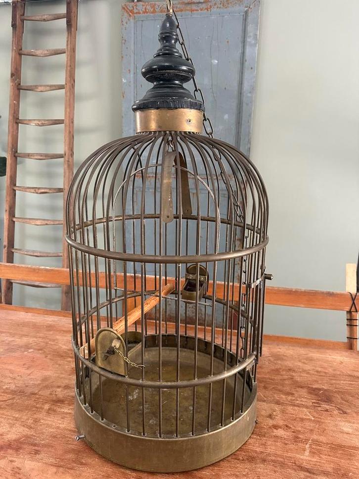 Prachtige antieke vogelkooi 48cm x 97cm messing, Dieren en Toebehoren, Vogels | Hokken en Kooien, Zo goed als nieuw, Vogelkooi