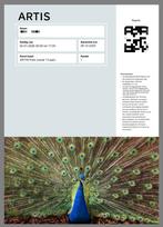 4x ARTIS Toegangskaarten - Geldig 2 januari 2026, Tickets en Kaartjes, Drie personen of meer, Ticket of Toegangskaart