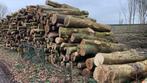 Brandhout rondhout - Esdoorn/Beuk/Berk, Stammen, Ophalen of Verzenden, 6 m³ of meer, Overige houtsoorten