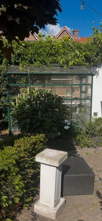 Planten kas beschikbaar voor biedingen