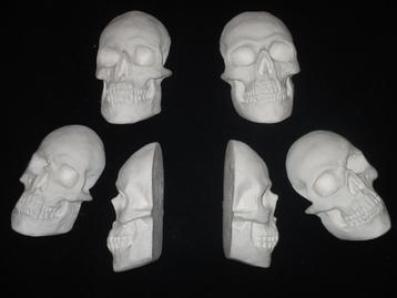 gipsen halve Schedels mens, platte Skull beschilderbaar gips beschikbaar voor biedingen