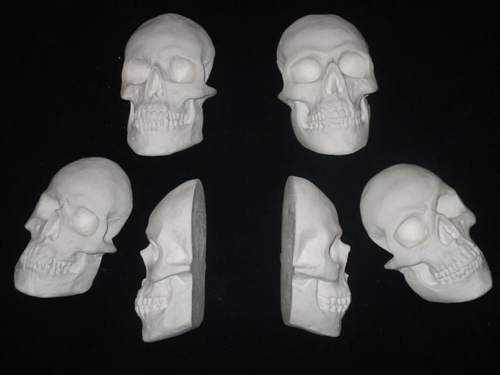gipsen halve Schedels mens, platte Skull beschilderbaar gips, Huis en Inrichting, Woonaccessoires | Wanddecoraties, Nieuw, Ophalen of Verzenden