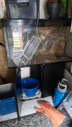 Aquarium met achterwand, Ophalen of Verzenden, Leeg aquarium