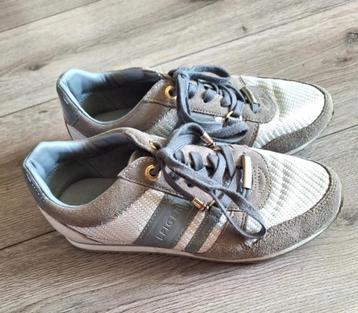 Tommy Hilfiger sneakers maat 38 beschikbaar voor biedingen