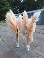 Droogbloemen pampas, Ophalen, Zo goed als nieuw