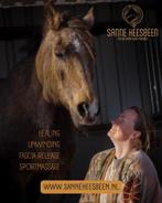 Paarden(sport)massage, Fascia release, healing, Paardrijles of Ponykampen