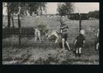 Alverna - Camping Boszicht [KRST009-1063, Verzenden, 1960 tot 1980, Gelopen, Gelderland