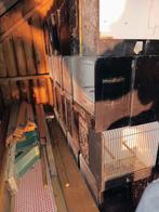 TT kooien, Ophalen, Gebruikt, Hout, Overige typen