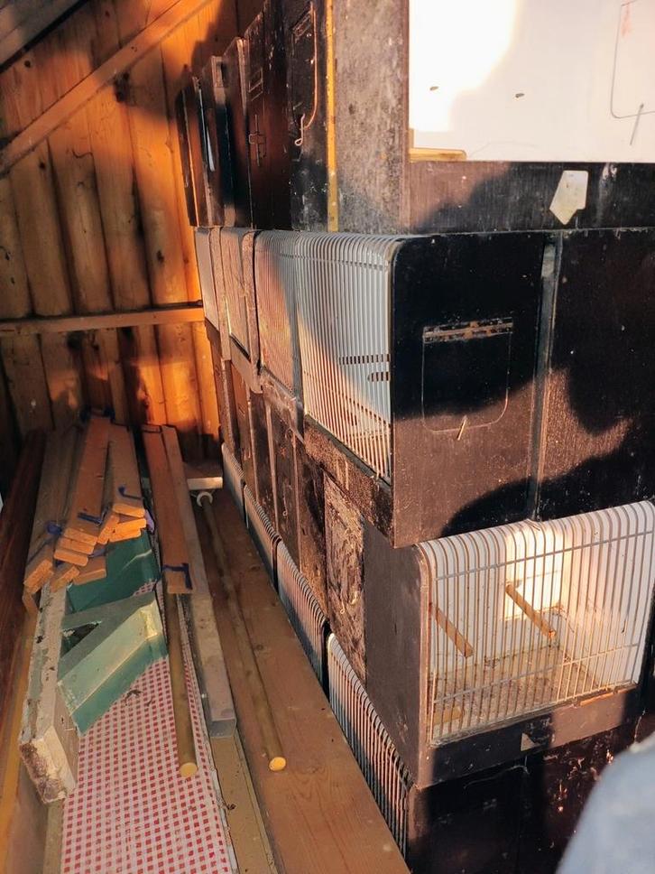 TT kooien, Dieren en Toebehoren, Vogels | Hokken en Kooien, Gebruikt, Overige typen, Hout, Ophalen