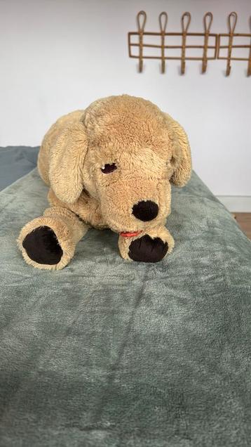 Knuffel hond beschikbaar voor biedingen