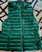 Tommy Hilfiger NIEUWE bodywarmer mt L dons ORIGINEEL groen, Ophalen, Maat 42/44 (L), Nieuw, Groen