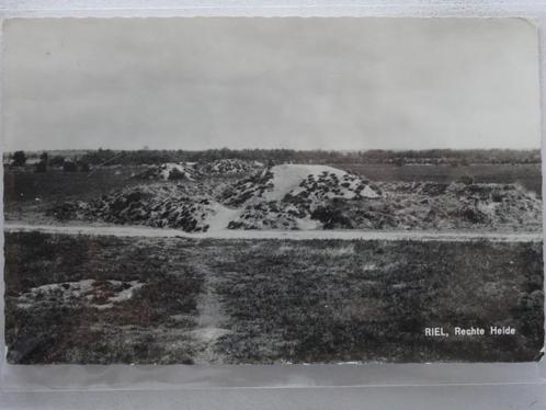 RIEL  Rechte Heide, Verzamelen, Ansichtkaarten | Nederland, Ongelopen, Noord-Brabant, 1960 tot 1980, Ophalen of Verzenden