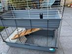 Cavia flat, Dieren en Toebehoren, Ophalen, 90 cm of meer, Hok, Cavia