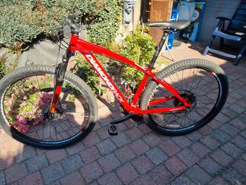 Diamondback 29" Mountainbike - Rood beschikbaar voor biedingen