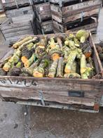 Stammen, Tuin en Terras, Minder dan 3 m³, Ophalen, Overige houtsoorten, Stammen