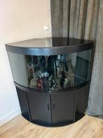Juwel trigon 350, Dieren en Toebehoren, Ophalen of Verzenden, Gebruikt, Leeg aquarium