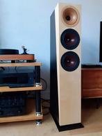 Odeon Scala hoorns, ruilen?, Gebruikt, 120 watt of meer, Front, Rear of Stereo speakers, Ophalen