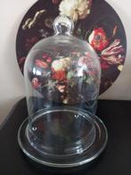 Vintage glazen stolp met bord, Huis en Inrichting, Woonaccessoires | Stolpen, Ophalen of Verzenden, Zo goed als nieuw