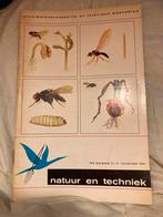 Natuur en Techniek 1967, nr. 11, Ophalen of Verzenden, Gelezen, Overige onderwerpen