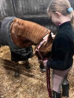 GEZOCHT - Paard en bak, Ophalen, Zo goed als nieuw