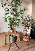 Bamboe kunstplant Ikea bamboe nepplant, kan met pot!, Ophalen, Zo goed als nieuw