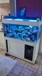 Compleet zeeaquarium 120x60x60 incl meubel., Dieren en Toebehoren, Vissen | Aquaria en Toebehoren, Ophalen of Verzenden, Zo goed als nieuw