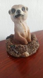 Meerkat beeld, Ophalen of Verzenden, Zo goed als nieuw, Wild dier, Beeldje of Figuurtje