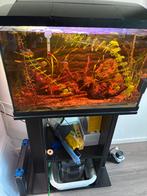 Aquarium, Dieren en Toebehoren, Vissen | Aquaria en Toebehoren, Ophalen of Verzenden, Zo goed als nieuw, Leeg aquarium