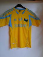 2 x Voetbal shirt Zanzibar maat S, Ophalen of Verzenden, Zo goed als nieuw, Buitenlandse clubs, Shirt