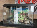 Juwel aquarium 60 liter, Ophalen, Gebruikt, Leeg aquarium