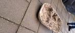 Waterloop voor in tuin, Ophalen, Gebruikt, Beton, Overige typen