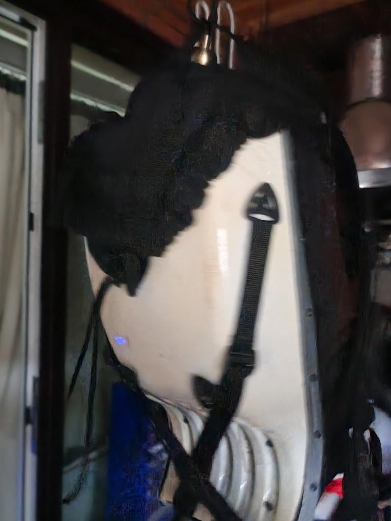 Motorrugtas in zeer goede staat, Ophalen, Onbekend, Zwart, Overige maten