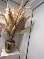 Grote bos pampas pluimen, Ophalen, Zo goed als nieuw
