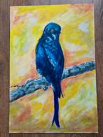 Drongo, Ophalen