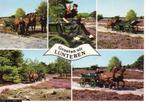 Ansichtkaart	Lunteren	Paarden	5-luik, Verzenden, 1980 tot heden, Gelopen, Gelderland