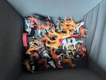 Speel dieren beschikbaar voor biedingen