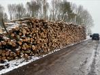 Te koop brandhout stamhout, Tuin en Terras, Stammen, Ophalen of Verzenden, 6 m³ of meer, Overige houtsoorten