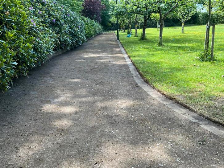 Klusser beschikbaar: Tuin, verf & meer!, Tuin en Terras, Planten | Struiken en Hagen, Overige soorten, Ophalen of Verzenden